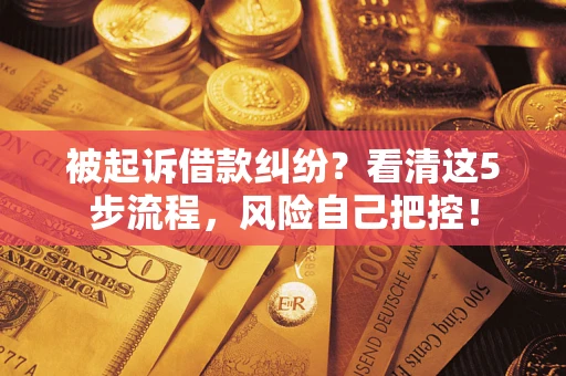 武汉被起诉借款纠纷？看清这5步流程，风险自己把控！