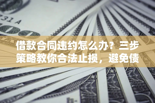 武汉借款合同违约怎么办？三步策略教你合法止损，避免债务危机升级